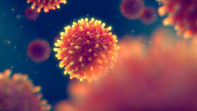 Hepatitis-Virus
