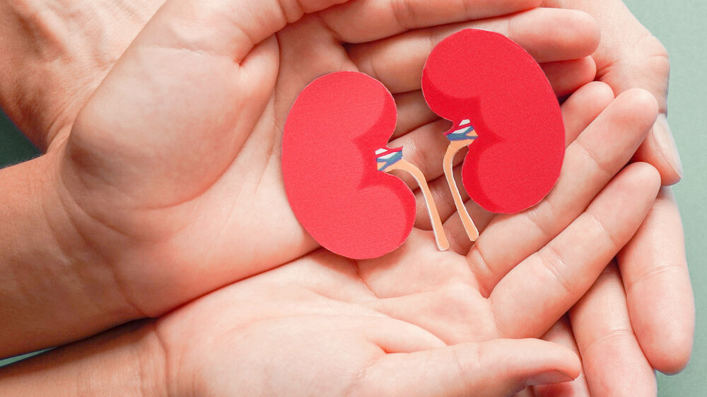 Die Organspende- und Transplantationszahlen bewegen sich 2021 auf dem annähernd gleichen Vor-Corona-Niveau von 2019.