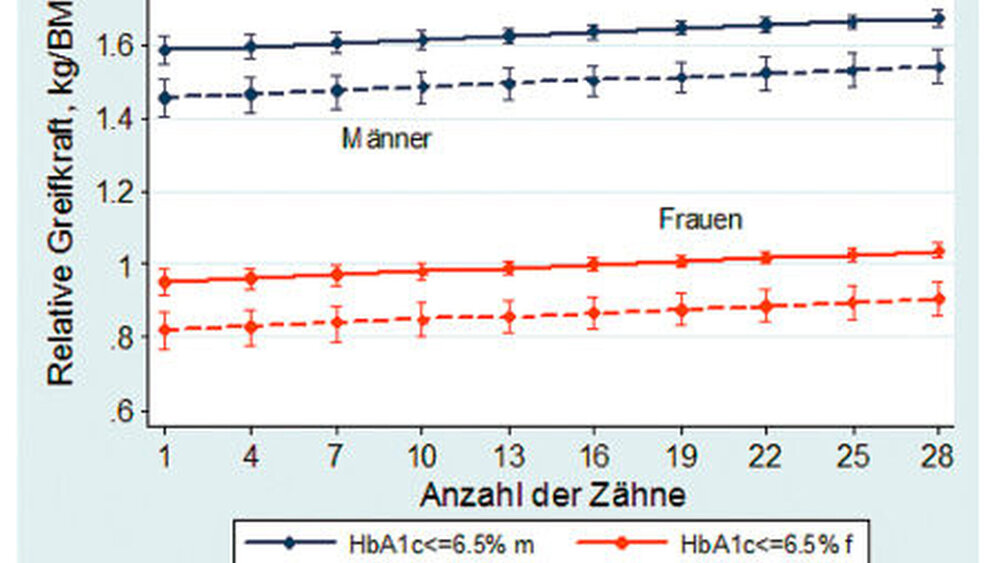 Abbildung 3: Relative Greifkraft der dominanten Hand in Relation zur Anzahl der aktuell vorhandenen Zähne jeweils bei Männern und Frauen mit normalen und erhöhten Werten von HbA1c als Zeichen einer schlechteren Glukosestoffwechsel-Einstellung (kontrolliert für Alter und Relation Bauch- zu Hüftumfang) |