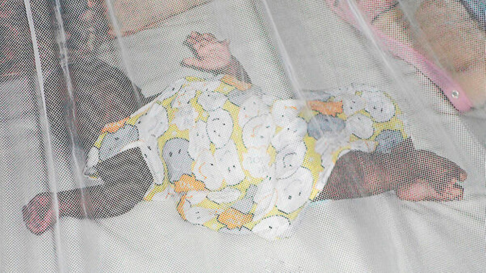 An Malaria sterben in Uganda immer noch jährlich 40.000 Menschen - hauptsächlich Babys und kleine Kinder.