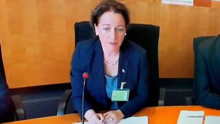 Dr. Romy Ermler, BZÄK, Anhörung Gesundheitsausschuss 24.4.2024, zu GOZ-GOÄ