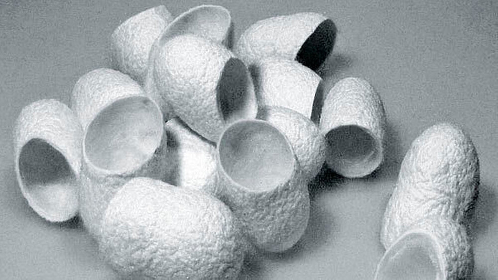Abbildung 2: Kokons der Seidenraupe Bombyx mori. |