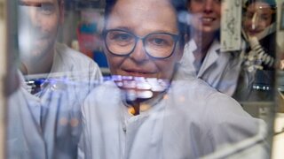 Spiegelung im Schutzschirm: - Prof. Dr. Tanja Schneider und ihr Team vom Institut für Pharmazeutische Mikrobiologie.