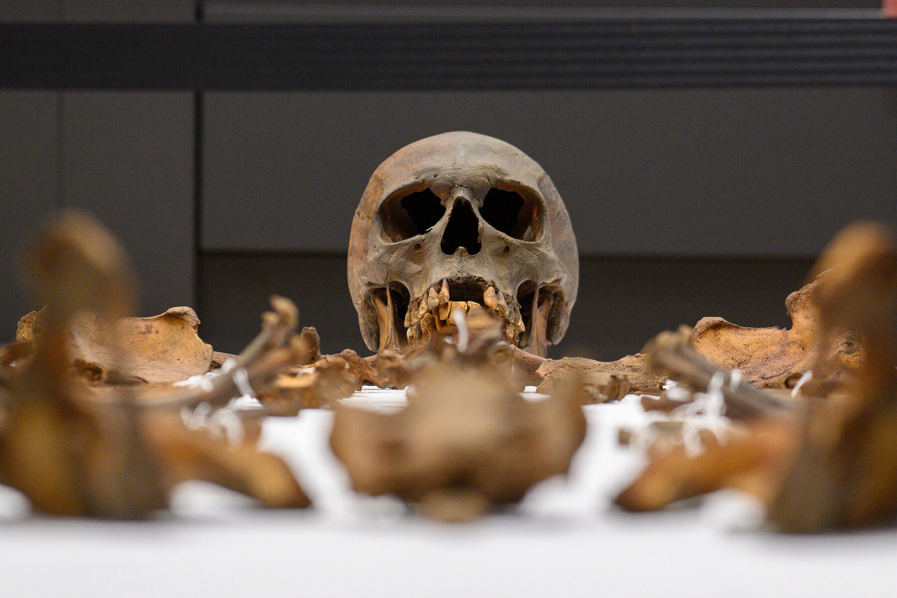 Gebeine Otto des Großen