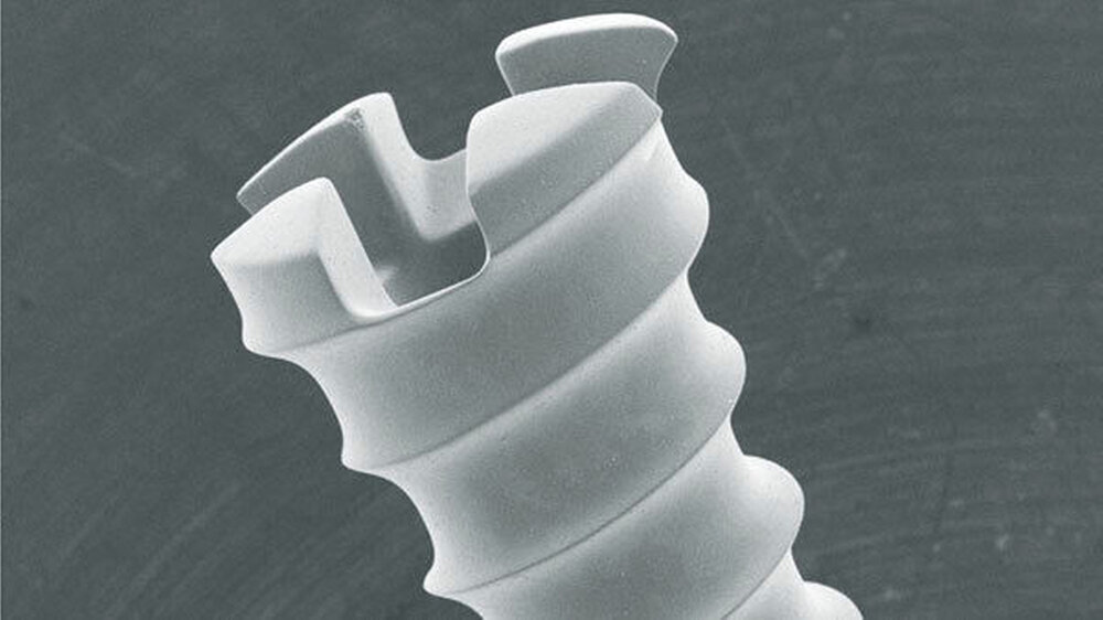 Abbildung 1: Prototyp einer bioresorbierbaren keramisierten Magnesiumschraube | Abbildung 1: Prototyp einer bioresorbierbaren keramisierten Magnesiumschraube |