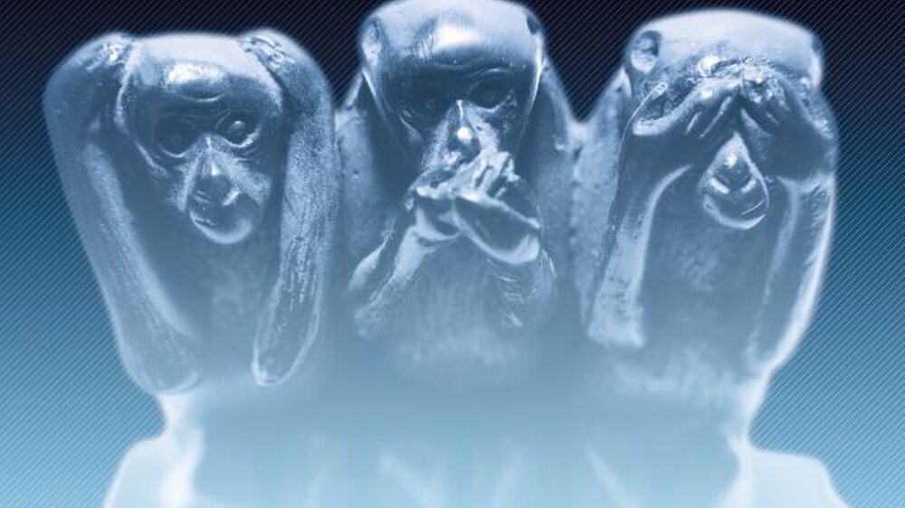 Nichts sehen, nichts hören, nichts sagen – die drei Affen sind Symbol für mangelnde Courage. Wegschauen konnte Dr. KH in der Praxis nicht.