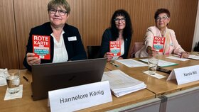 Vorstand der Gewerkschaft vmf bei einer Pressekonferenz in Berlin.