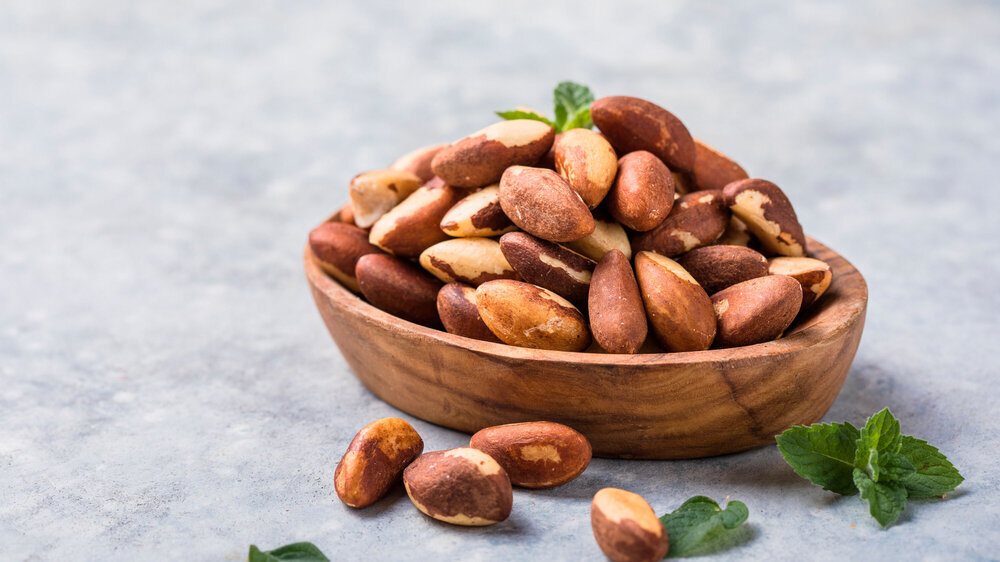 Brazil or Amazon nuts, Toquei or Tururi, very abundant in northern Brazil and Bolivia. Brazil or Amazon nuts, Toquei or Tururi, very abundant in northern Brazil and Bolivia.