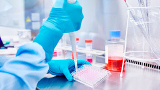 Tests mit Patientenproben im Labor