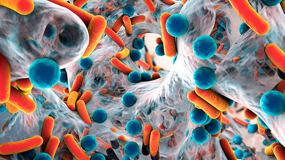 Biofilm (Symbolbild)