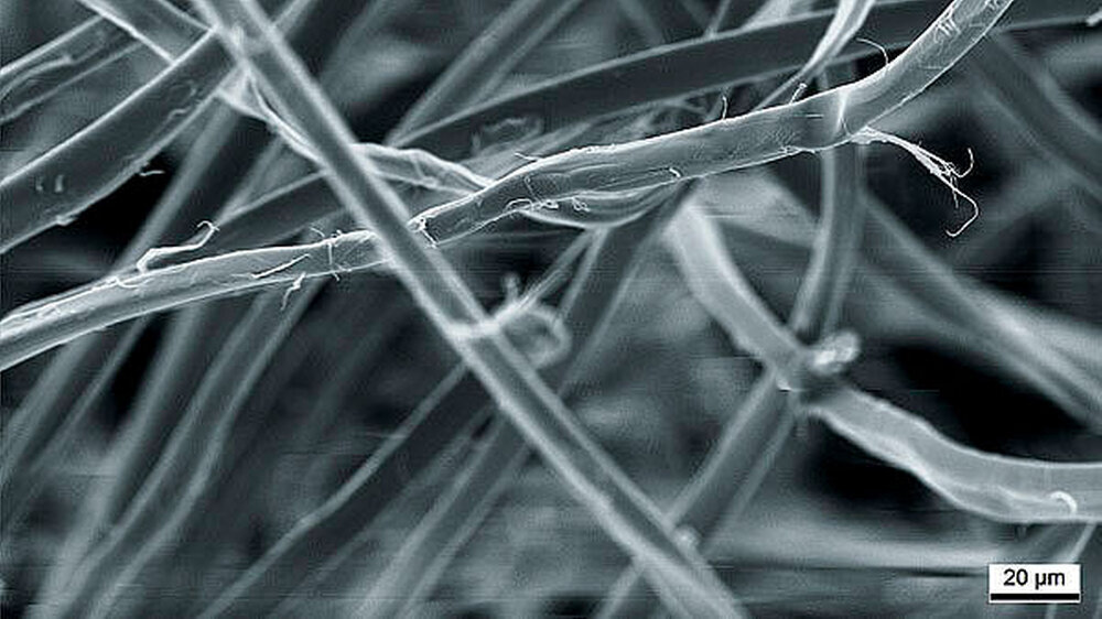 Abbildung 1: Elektronenmikroskopische Aufnahme von Seidenfäden ... | Abbildung 1: Elektronenmikroskopische Aufnahme von Seidenfäden ... |