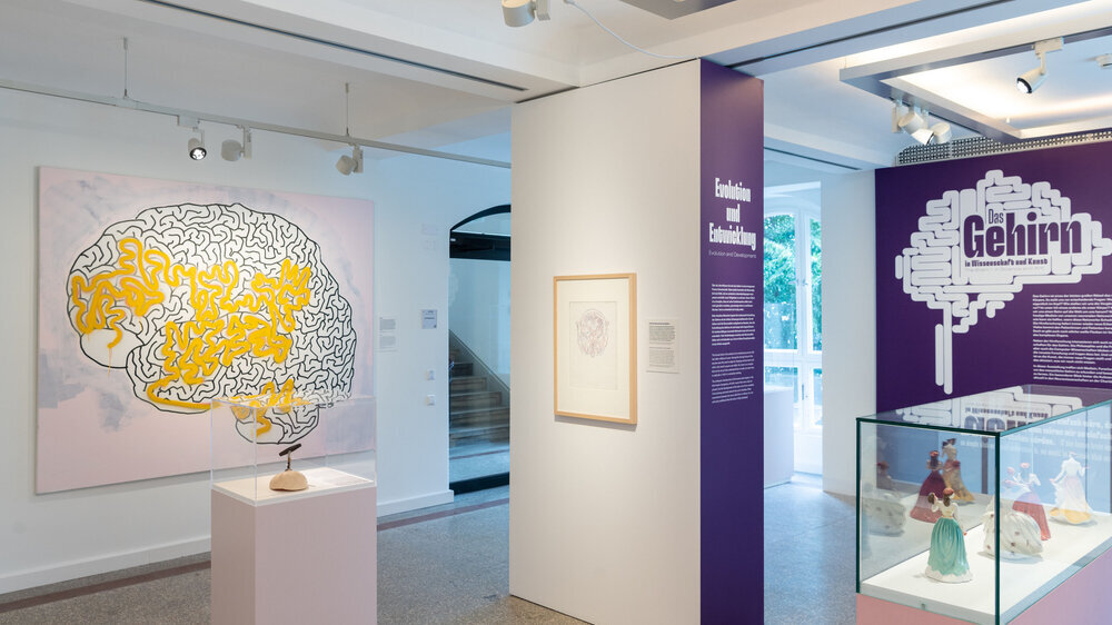 Zur Wiedereröffnung startet eine Sonderausstellung „Das Gehirn in Wissenschaft und Kunst“, die noch bis zum 28. Januar 2024 läuft. Hier geht es um das medizinische Feld der Neurowissenschaften, die an der Charité einen Schwerpunkt bilden. Die Ausstellung war zunächst 2022 für die Bundeskunsthalle in Bonn unter Mitarbeit von Wissenschaftlern der Charité konzipiert worden und wurde jetzt für Berlin adaptiert.
