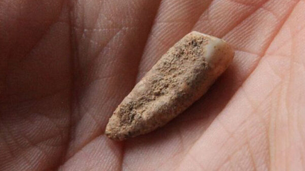 Schätzungsweise 560.000 Jahre alt: der Schneidezahn aus der Nähe von Tautavel.