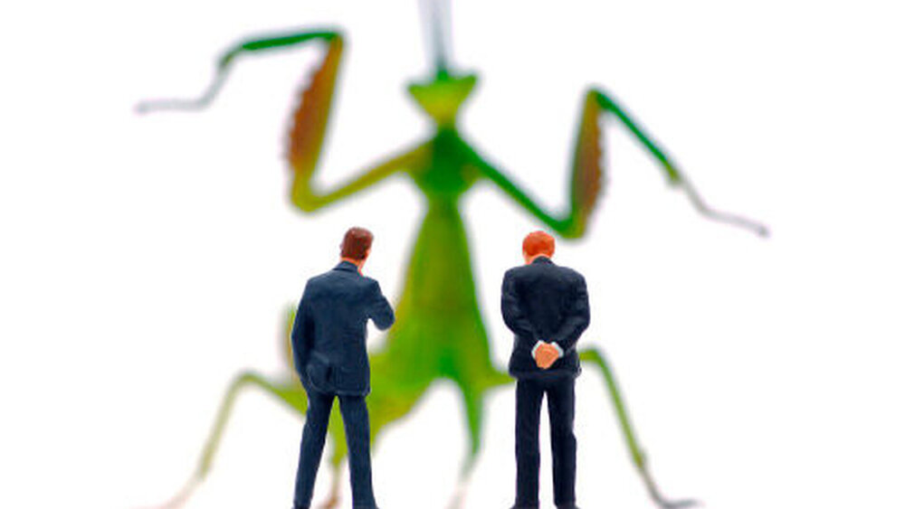 Gerade der absolute Wille zur unbedingten Gewinnmaximierung brachte den Fonds den Ruf der Skrupellosigkeit und den Vorwurf von Übernahmen nach Heuschreckenmanier ein. |