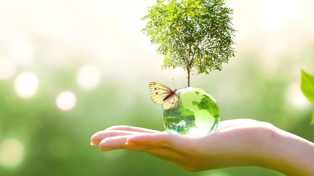 Umweltauswirkungen durch Behandlung von Zahn-, Mund- und Kiefererkrankungen sollten minimiert werden, ohne die Sicherheit und Qualität der Zahnbehandlung zu beeinträchtigen, heißt es in einem Positionspapier, das der BZÄK-Vorstand vor Kurzem verabschi