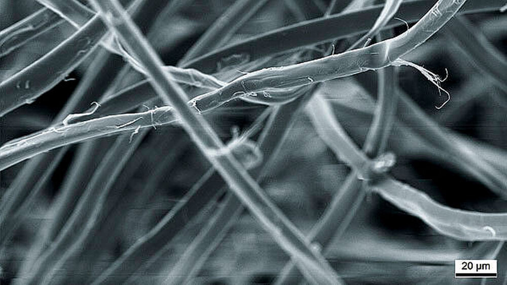 Abbildung 1: Elektronenmikroskopische Aufnahme von Seidenfäden ... |