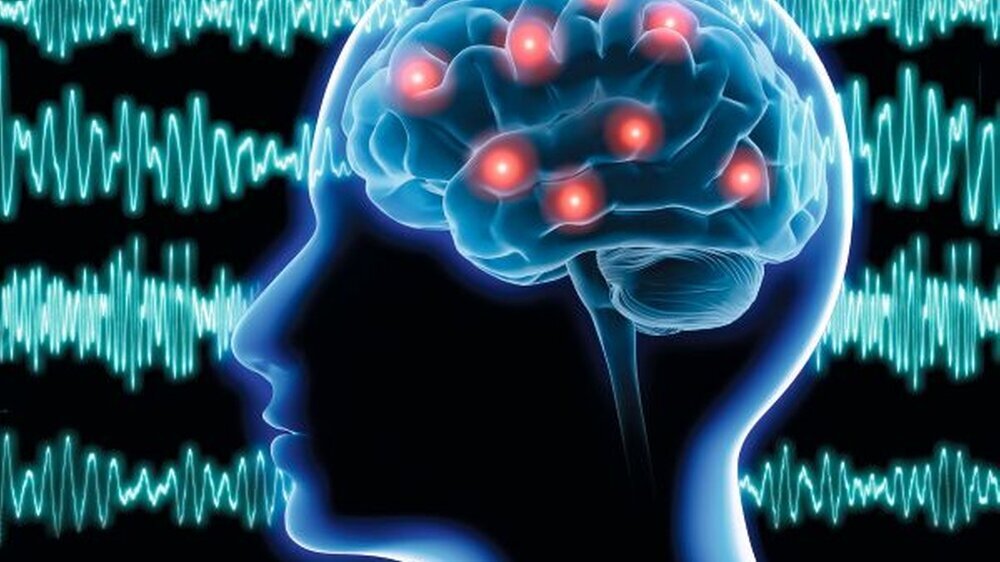 Die epileptische Erregung kann in verschiedenen Regionen der Hirnrinde beziehungsweise in den subkortikalen Strukturen beginnen und sich dann über das gesamte Gehirn ausbreiten.