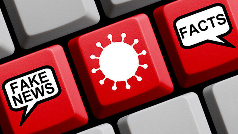 Aus Sicht der Studienautoren sind Fake News (Falschnachrichten) ein untergeordnetes Problem. Stattdessen konstruieren alternative Nachrichtenmedien durch Verschwörungstheorien widersprüchliche, bedrohliche und misstrauische Weltanschauungen, die zur Ver