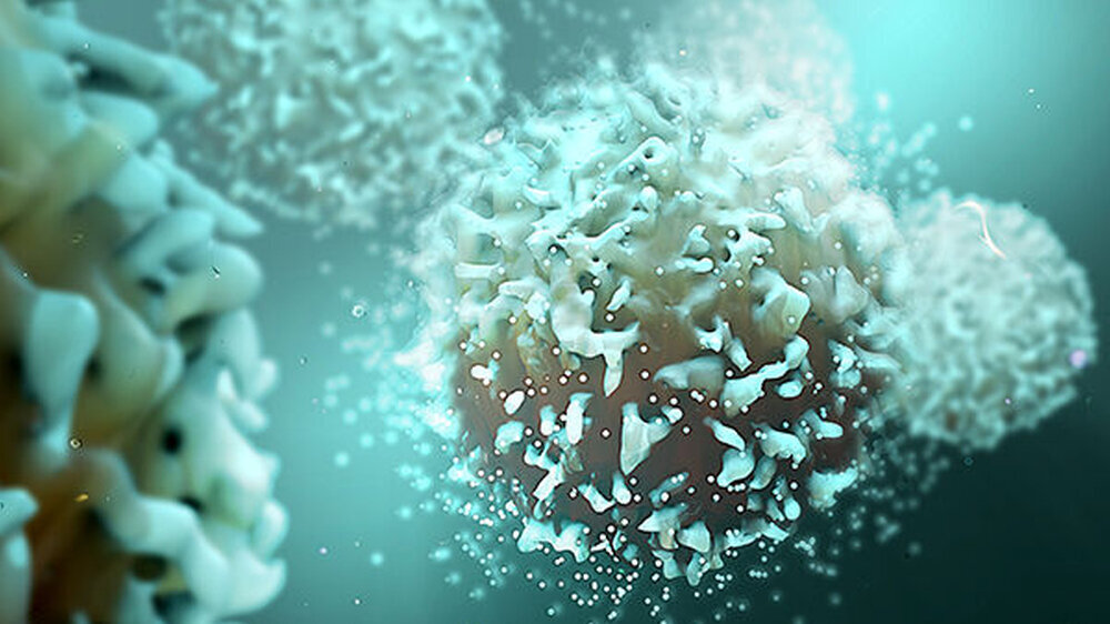 In der kürzlich erschienenen Arbeit im Wissenschaftsmagazin Cell wurde im experimentellen Mausmodell gezeigt, dass Parodontitis eine antrainierte Immunantwort in Vorläuferzellen von Immunzellen im Knochenmark induziert. Dies kann wiederum die Anfälligk