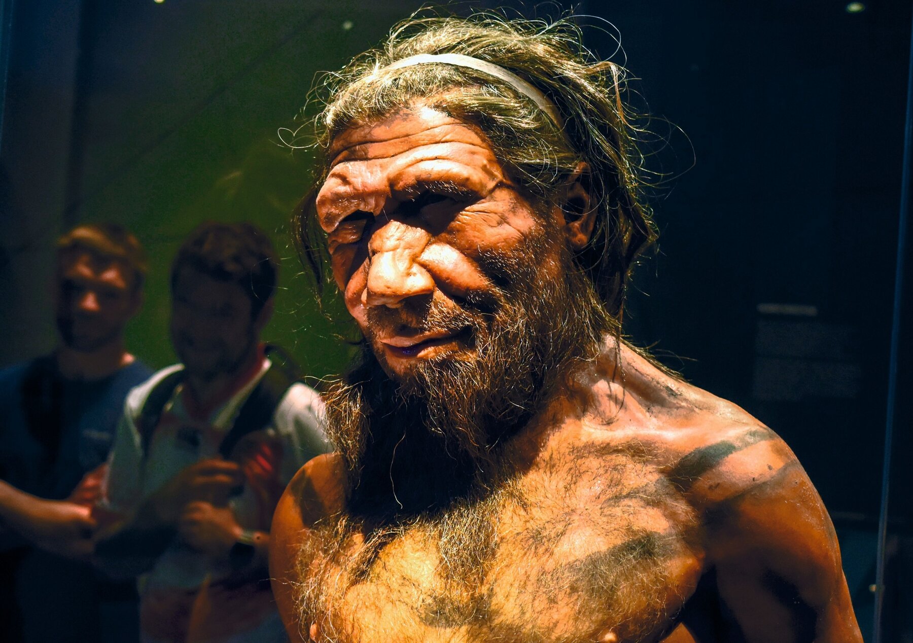 Erwachsener männlicher Neandertaler, ca. 40.000 Jahre.