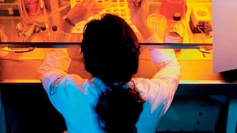Im Kampf gegen Krebs haben Vorsorge und Früherkennung – wie hier im Labor – einen hohen Stellenwert. Aber es gibt sie nach wie vor – die kontrovers geführte Diskussion zum Sinn flächendeckender Früherkennung bestimmter Krebsarten.
