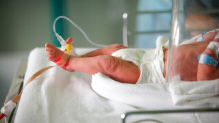 Frühgeborenes Baby in einem Inkubator in der Neugeborenenabteilung der Entbindungsstation
