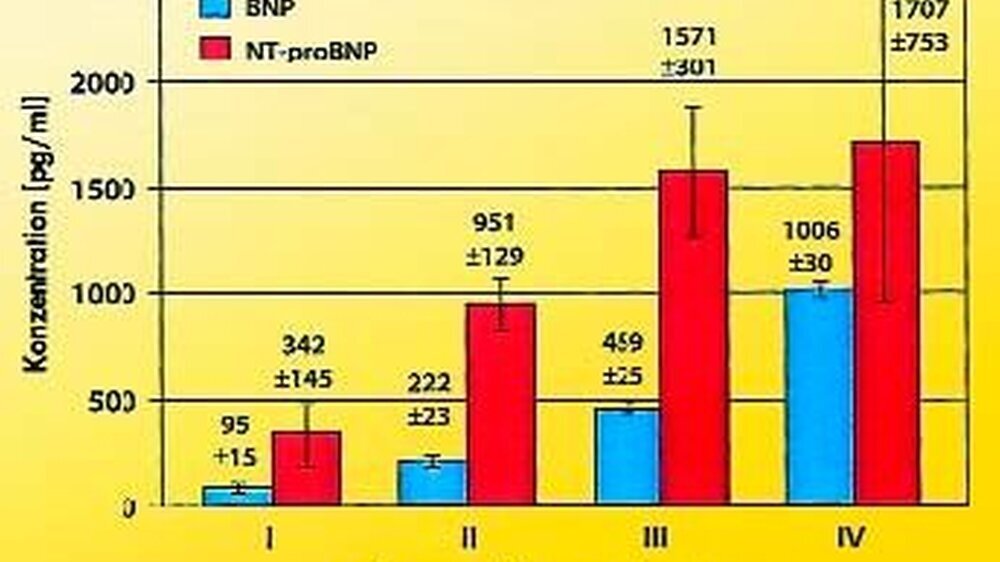 Abb. 1: Je nach dem in der Klassifikation der New Yorker Herzgesellschaft (NYHA) bestehenden Schweregrad einer Herzinsuffizienz ist BNP entsprechend erhöht (Quelle: Peter A. McCullough et al., Rev Cardiovasc Med 2003).