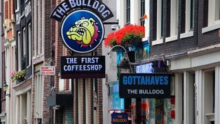 Straßenszene mit Schild des Coffee Shops Bulldog in Amsterdam