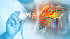 Doctor examine the Human liver on scientific background.3d illustration