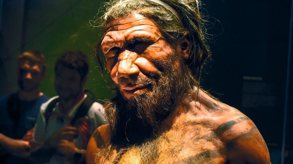 Erwachsener männlicher Neandertaler, ca. 40.000 Jahre.