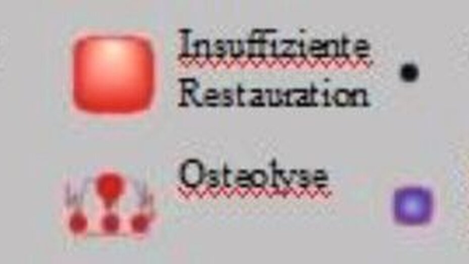 Abbildung 5: Legende zum schematisierten Ausgangsbefund. |