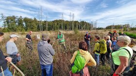 Baumpflanzaktion der Heilberufe im Harz