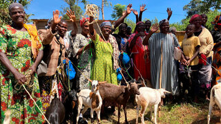 Weihnachtstombola 2025 DfA