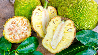 Cross-section ripe fruit of giant Jack-fruit.