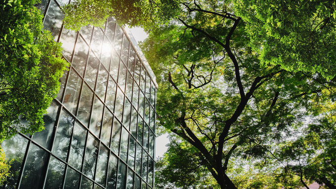 Modern glass office building with big trees around to reduce heat and carbon dioxide.
