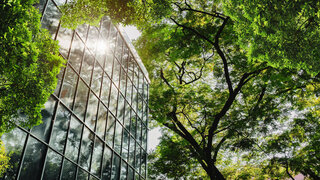 Modern glass office building with big trees around to reduce heat and carbon dioxide.