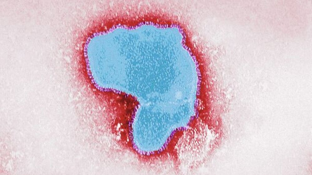 Risikokinder können rechtzeitig geschützt werden – durch Impfen gegen das RSV-Virus.