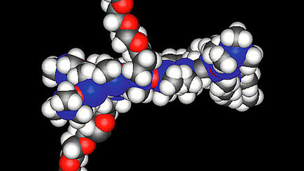 Abbildung 2b) Kettenausschnitt Polydimethylsiloxanether (Information GC), Atome: Si = blau, O = rot, H = hellgrau, C = dunkelgrau. Die polaren Sauerstoffatome in den Etheranteilen liegen frei: polares, hydrophiles Molekül. |