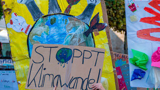 Plakate auf einer Demonstration von Fridays for Future