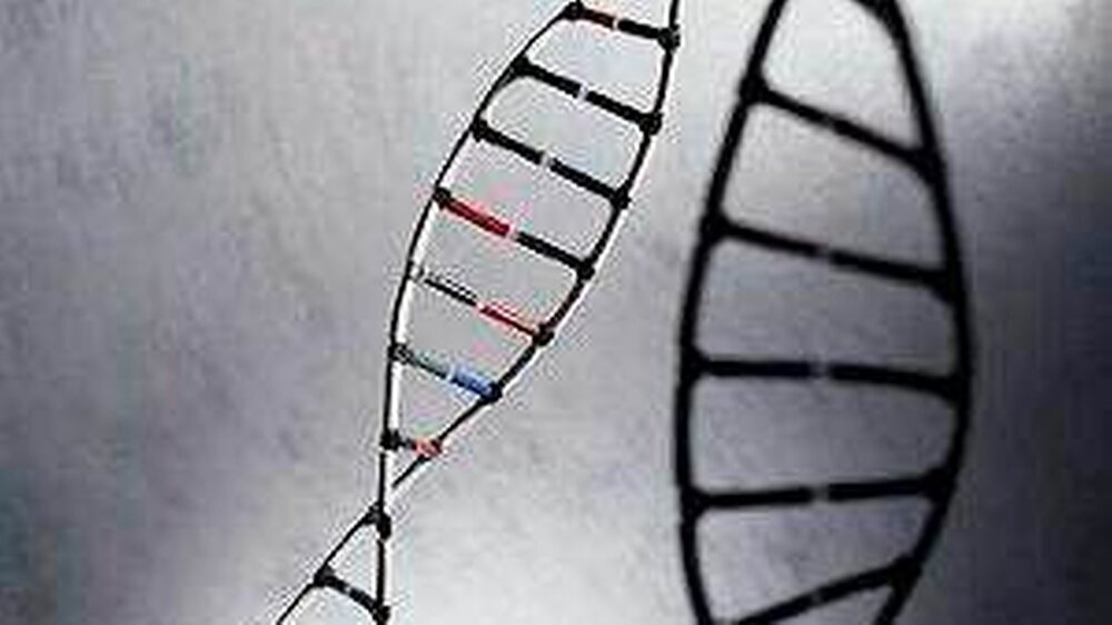 Manipulation an der Doppelhelix, vor vielen Jahren noch eine Vision, bald schon kann sie Leben retten.
