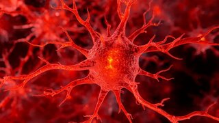 A detailed view of a red neuron with complex branching dendrites