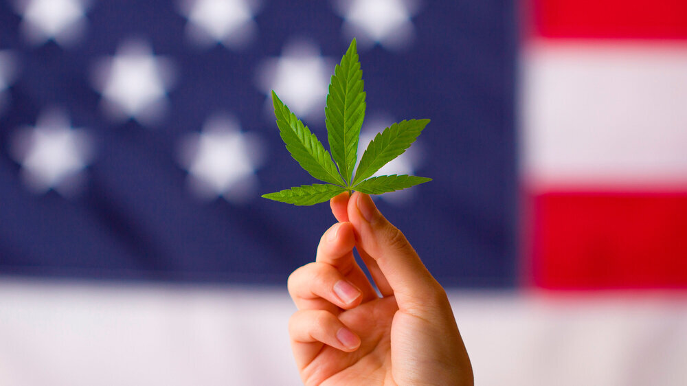 Derzeit ist der Freizeitkonsum von Cannabis in 19 und der medizinische Gebrauch in 37 US-Bundesstaaten legal.\r\n