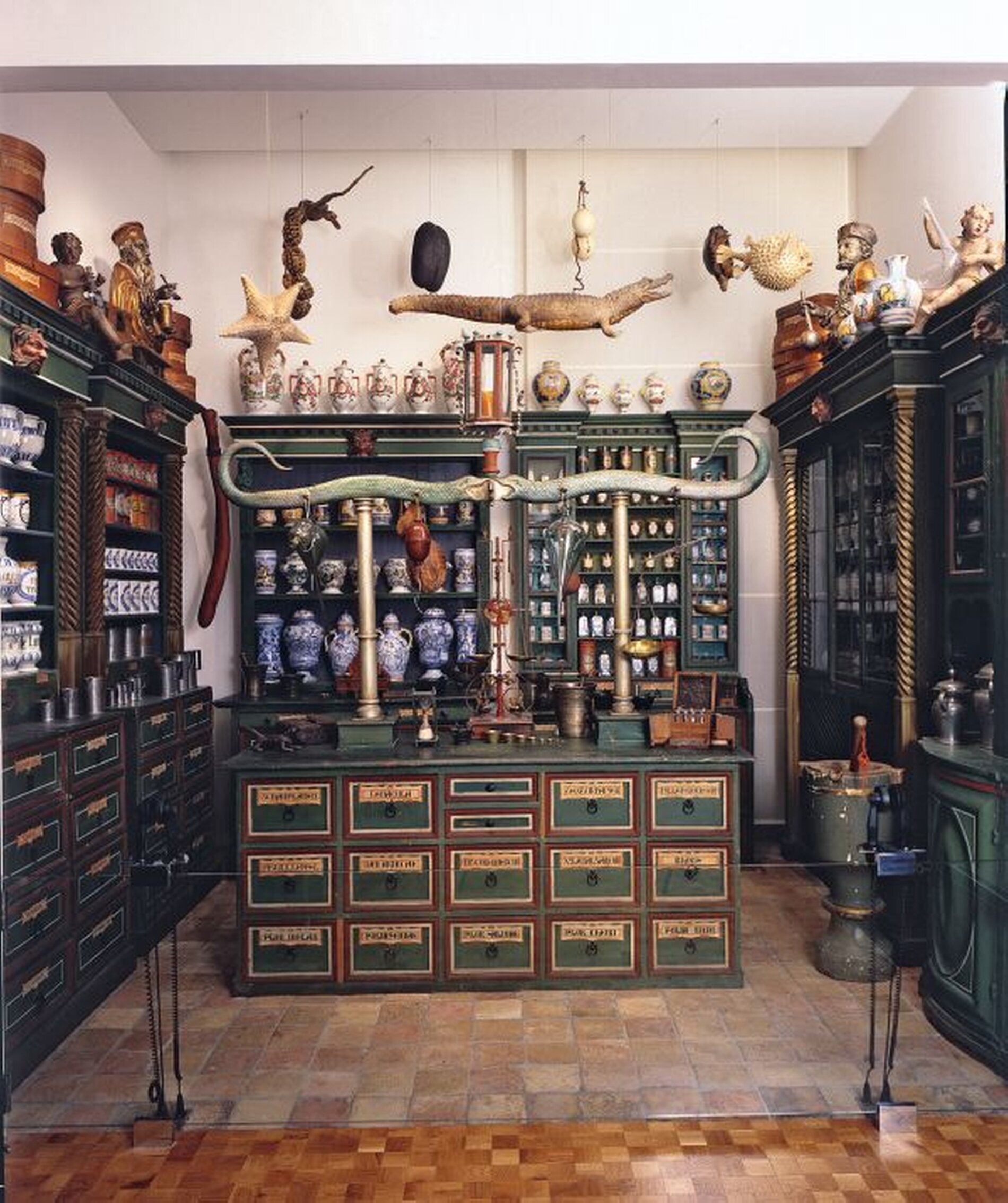 Zürich Die Entwicklung der Heilkunde