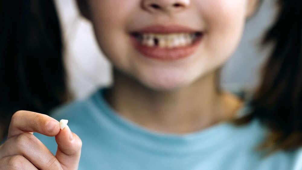 Kleines Mädchen hält verlorenen Milchzahn zwischen den Fingern.