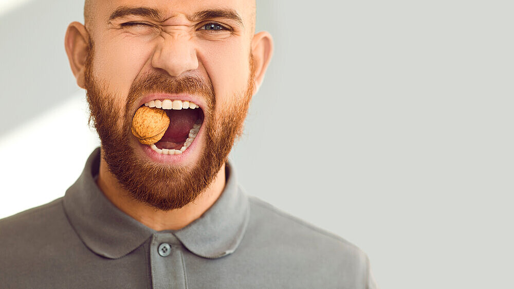 Headshot portrait of a young man with healthy teeth trying to crack a hard walnut Confident, charismatic, handsome man winks his eye and cracks a hard nut. Close up head shot of a young ginger guy demonstrating his healthy teeth and trying to crack a walnut. Dental health concept