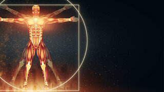 Leonardo da Vincis Vitruvianischer Mensch