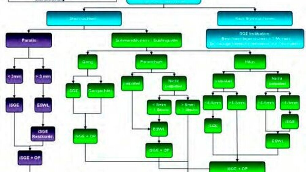 Abbildung 1: Flussdiagramm des Therapiekonzepts bei Speichelsteinen der Gl. parotis und der Gl. submandibularis: Bei einem primär diagnostizierten Speichelstein sollte bei einer Beschwerdepersistenz von über drei Monaten trotz Anwendung konservativer Ma