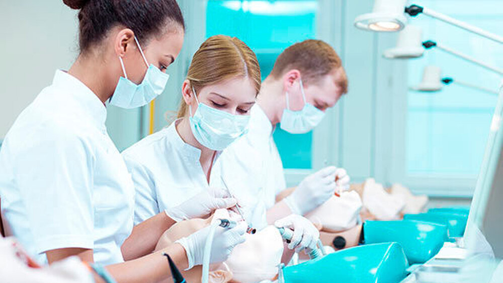 Neuer Zahnnedizin-Studiengang iMED DENT in Hamburg-Eppendorf