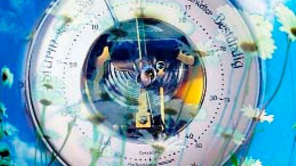 Von einer blumigen Zukunftsvision für das neue Jahr 2004 kann keine Rede sein. Im Gegenteil: Skepsis ist eher angesagt, wenn man zwischen den Zeilen der meisten Berufspropheten liest.