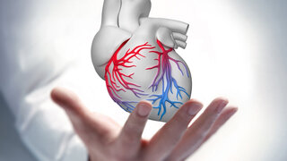 Hand mit weißem Herz